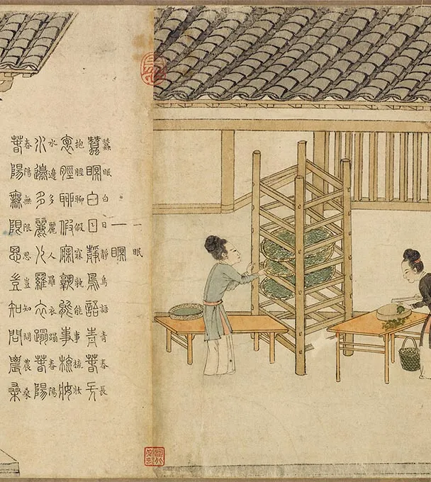程棨摹楼璹《蚕织图》卷-B_19