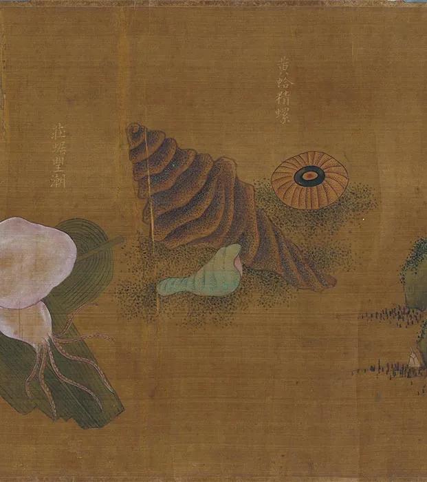 传宋刘松年海珍图卷_05