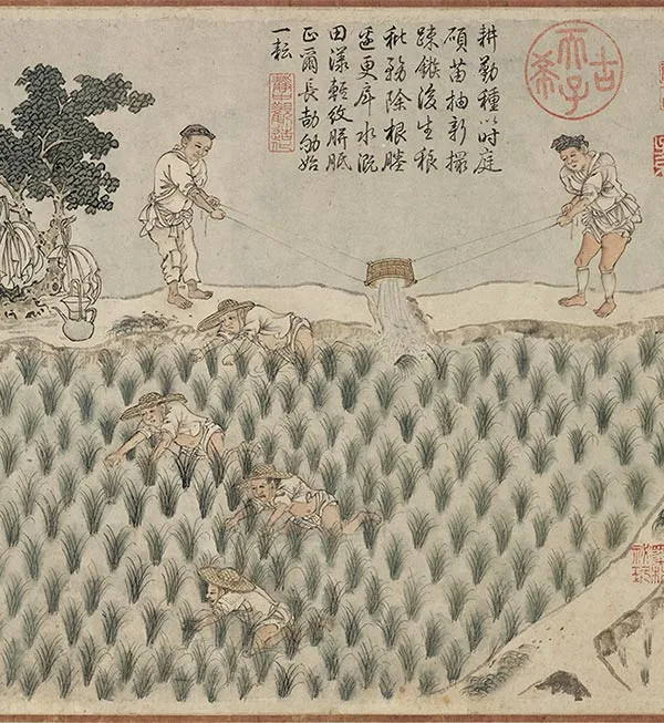 程棨《摹楼璹耕作图》卷_33