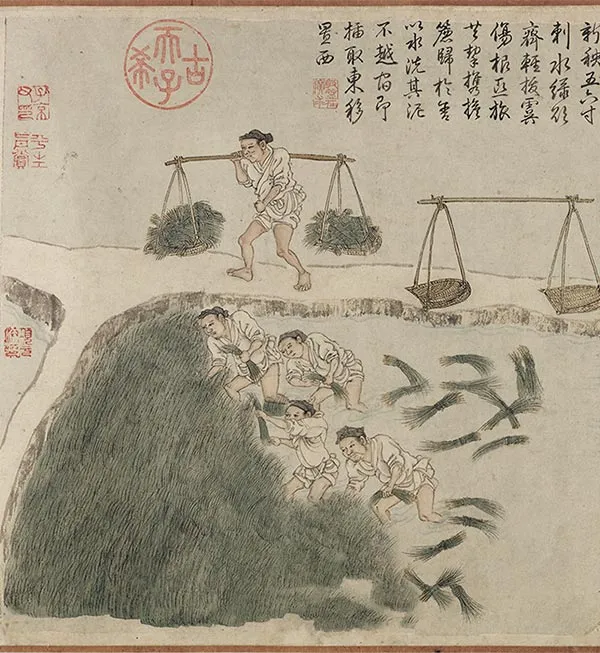 程棨《摹楼璹耕作图》卷_36
