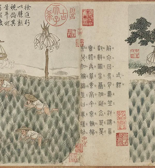 程棨《摹楼璹耕作图》卷_32