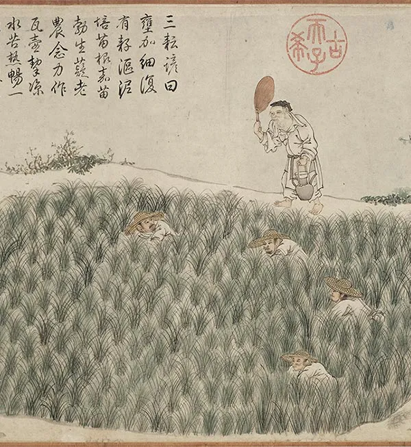 程棨《摹楼璹耕作图》卷_30