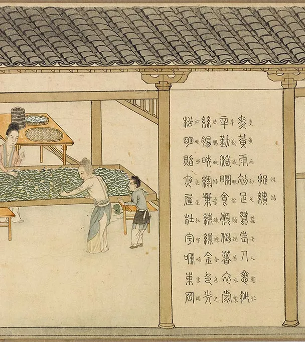 程棨摹楼璹《蚕织图》卷-B_08