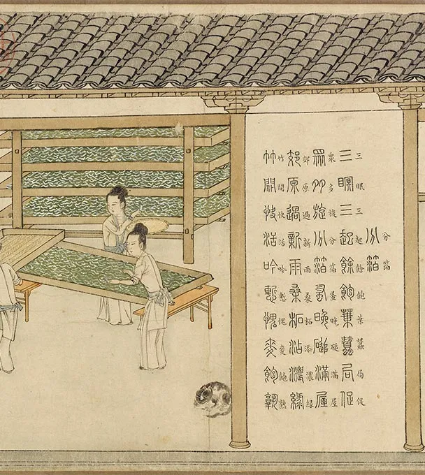 程棨摹楼璹《蚕织图》卷-B_14