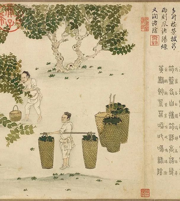 程棨摹楼璹《蚕织图》卷-B_12