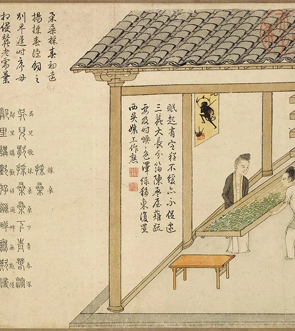 程棨摹楼璹《蚕织图》卷-B_13