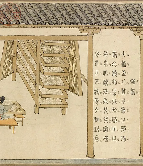 程棨摹楼璹《蚕织图》卷-A_30