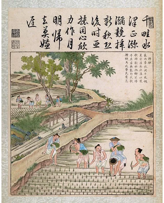 10《御制耕织图·插秧》