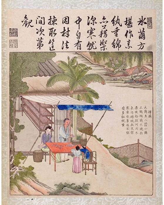 34《御制耕织图·择茧》