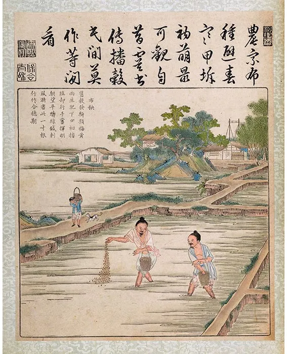 06《御制耕织图·布秧》