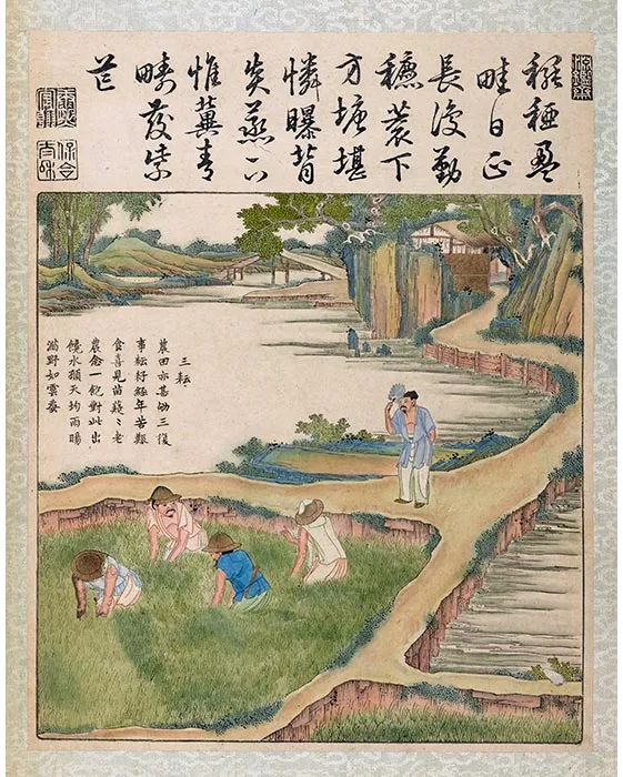 13《御制耕织图·三耘》