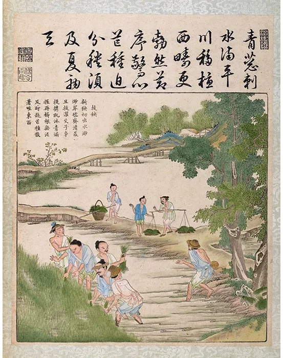 09《御制耕织图·拔秧》