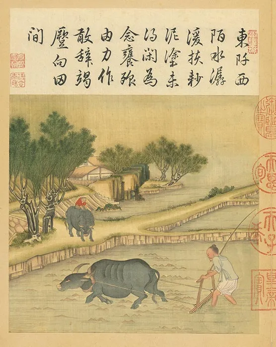 冷枚《耕织图》册_43