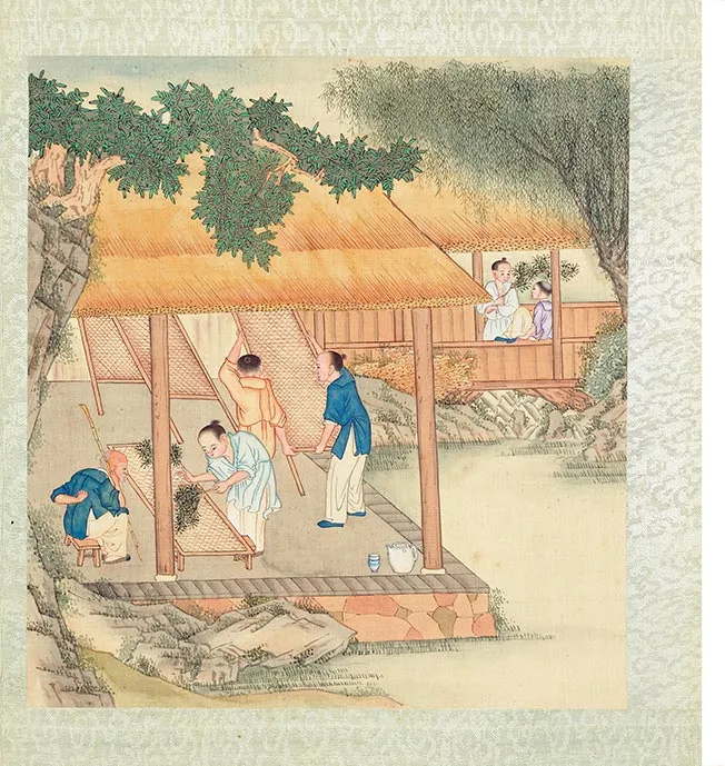 清人《耕织图册》彩绘本_16