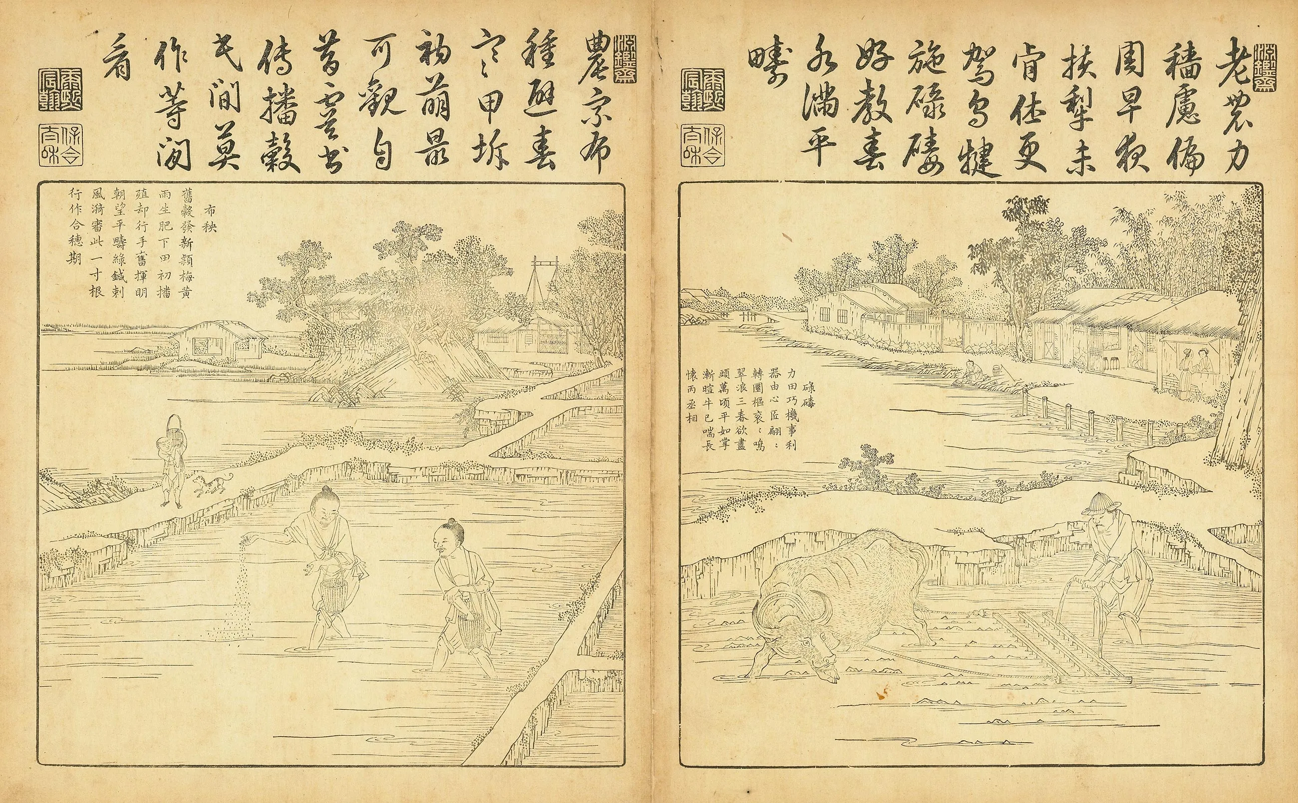 《御制耕织图》又名《佩文斋耕织图》单色刊本