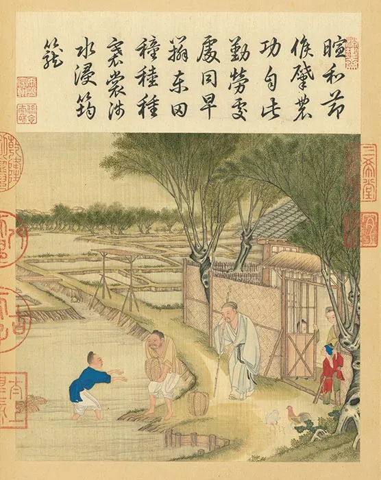冷枚《耕织图》册_46