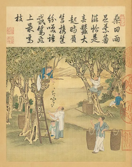 冷枚《耕织图》册_17