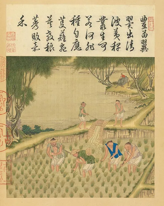 冷枚《耕织图》册_36