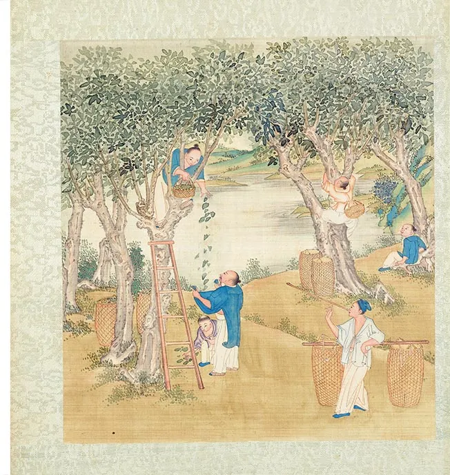 清人《耕织图册》彩绘本_17