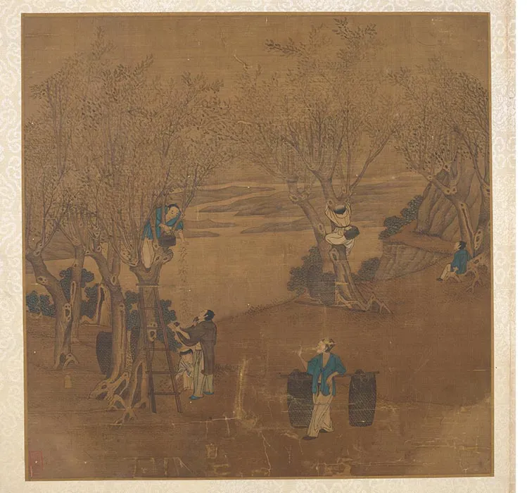 传明仇英耕织图册_06