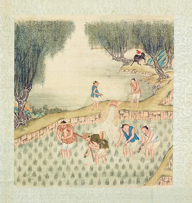 清人《耕织图册》彩绘本_36