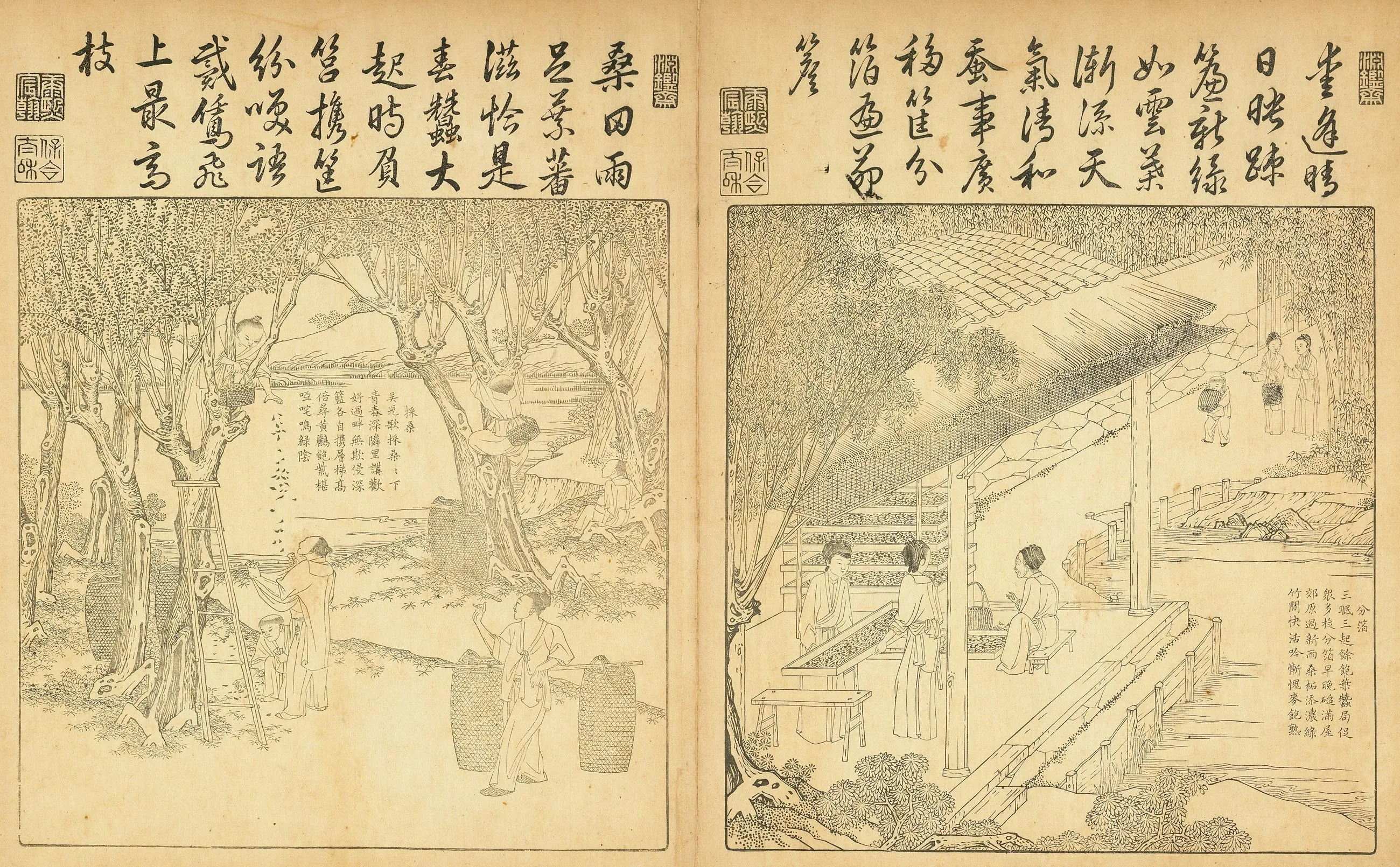 《御制耕织图》又名《佩文斋耕织图》单色刊本
