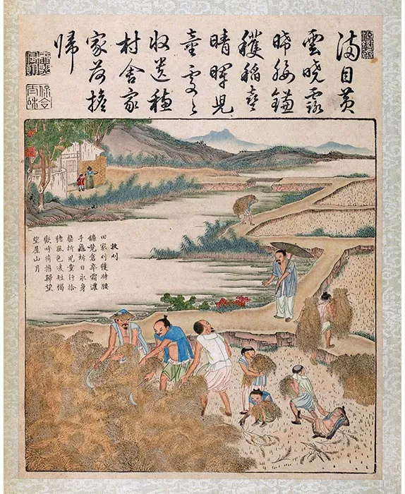 15《御制耕织图·收刈》