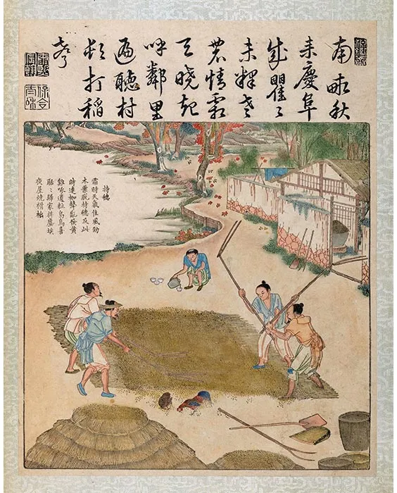 17《御制耕织图·持穗》