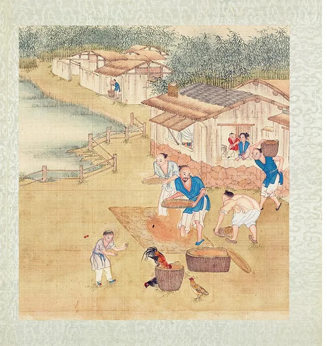 清人《耕织图册》彩绘本_28