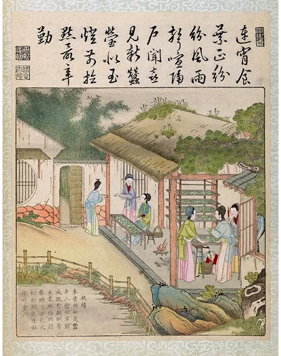 28《御制耕织图·捉绩》