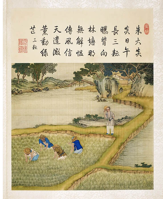 陈枚《耕织图册·三耘》
