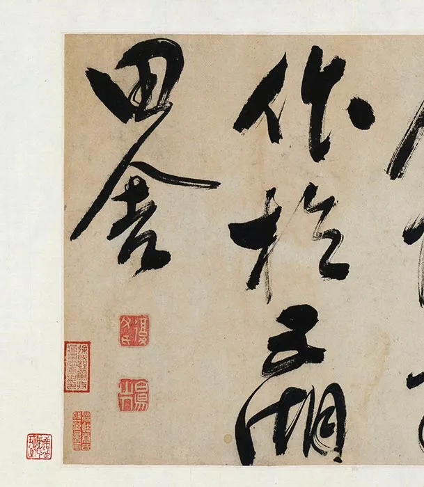 陈道復(陈淳)书画合卷_01