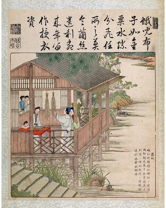 37《御制耕织图·蚕蛾》