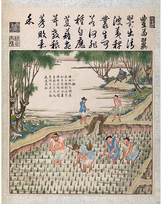 11《御制耕织图·一耘》