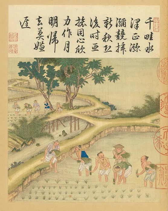 冷枚《耕织图》册_37