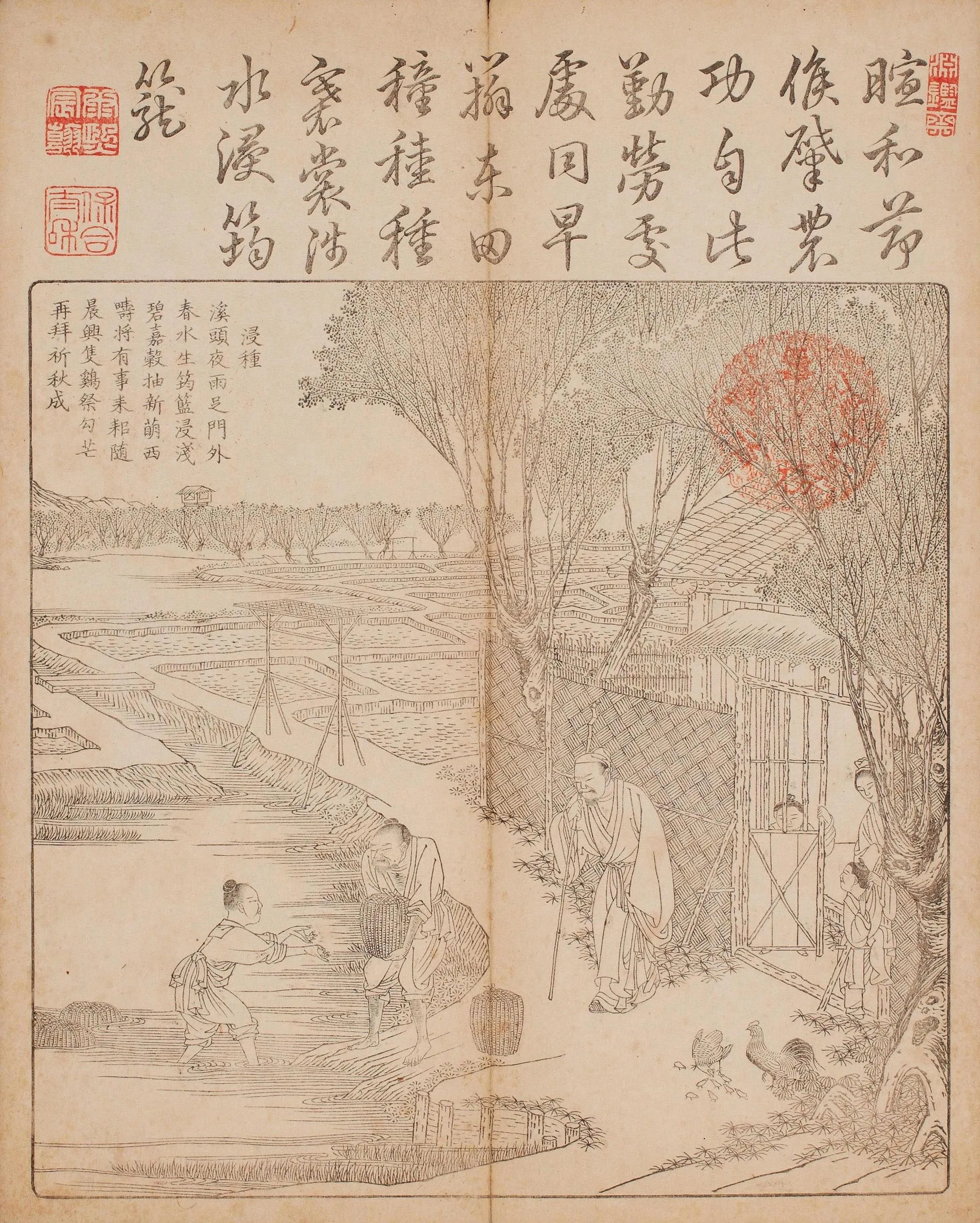 佩文斋耕织图(和刻本)册页
