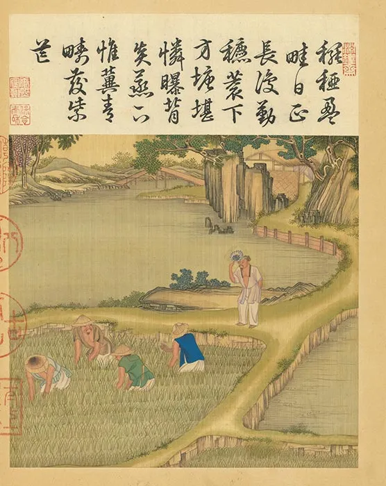 冷枚《耕织图》册_34