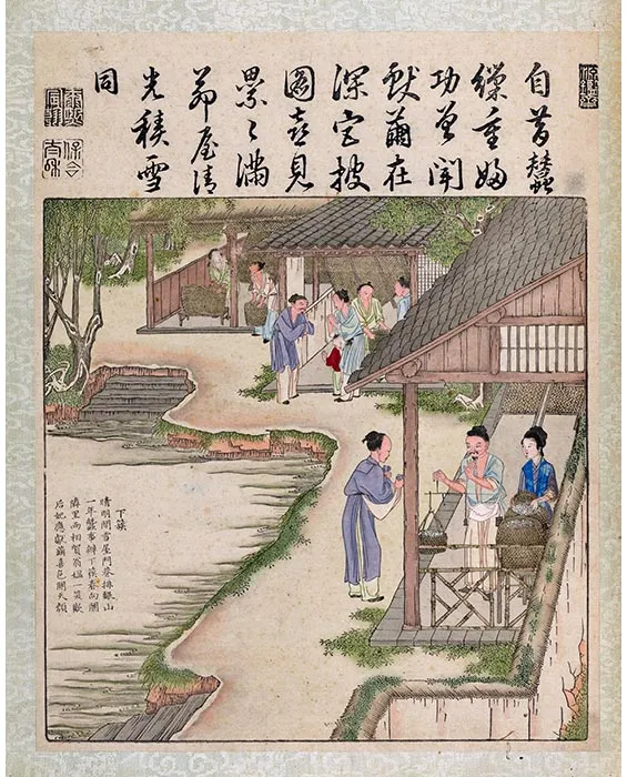 33《御制耕织图·下簇》