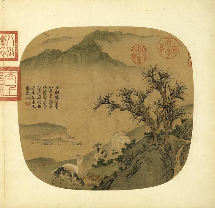 传唐刁光胤写生花卉册_20