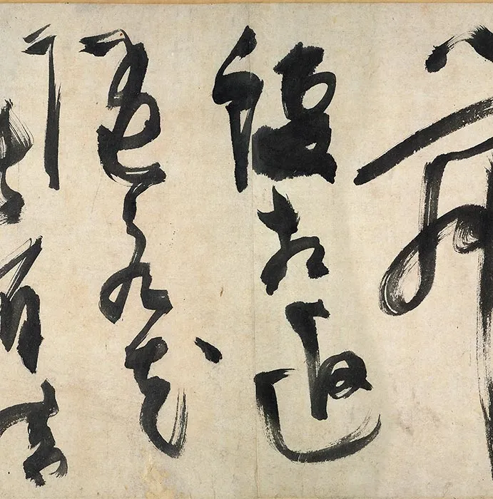 陈淳书画合璧《草书水墨花卉写生图》卷_11