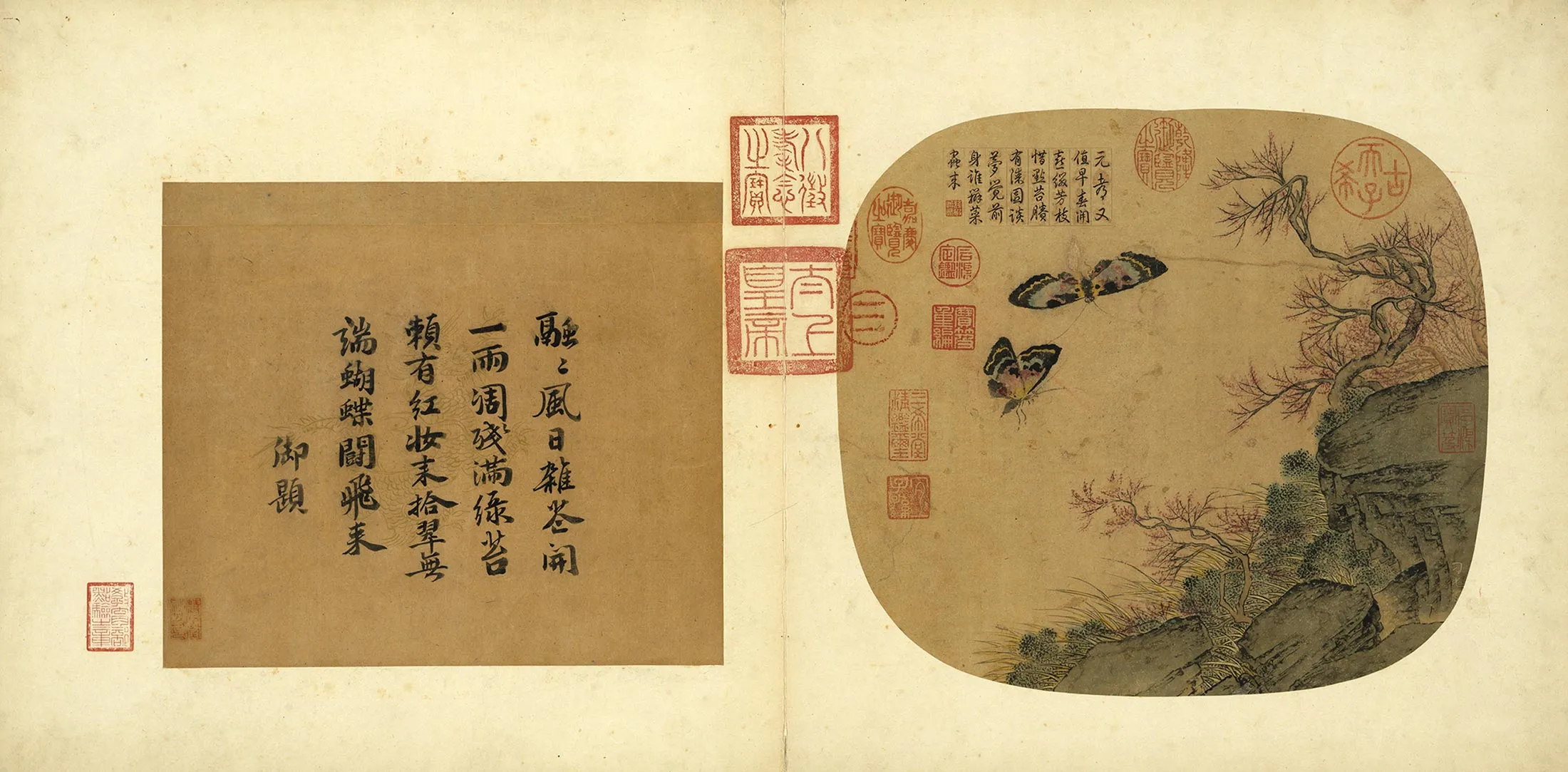 传刁光胤《桃花双蝶磐石带草》全幅