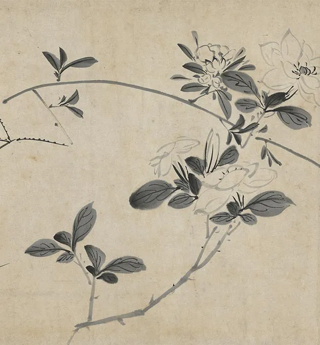 陈淳水墨画花卉卷_12