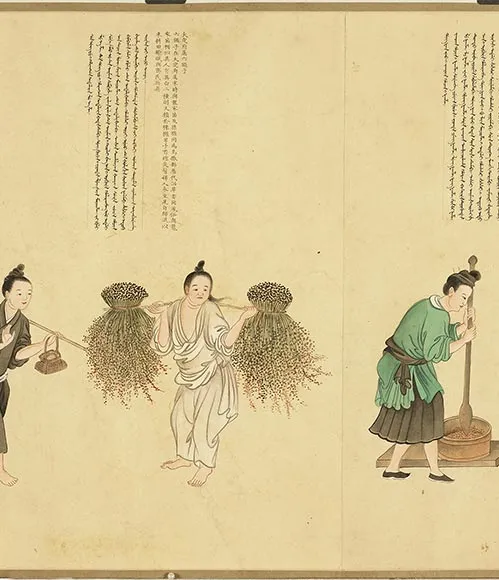 清谢遂职贡图卷四_07