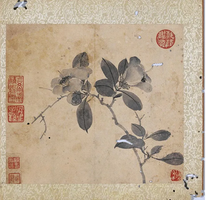 陈淳水墨画花卉册_04