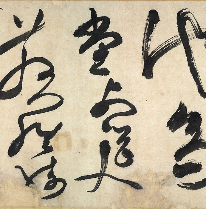 陈淳书画合璧《草书水墨花卉写生图》卷_09