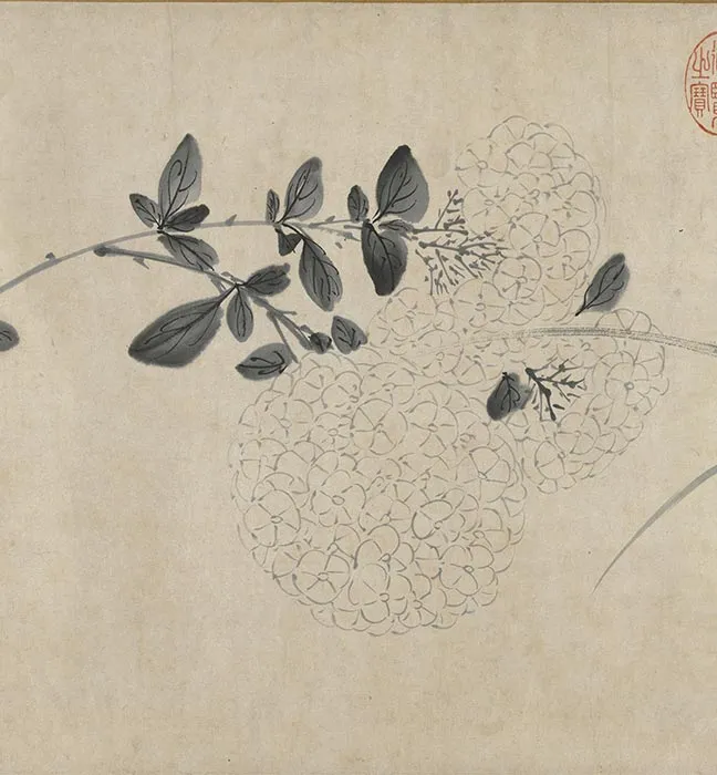 陈淳水墨画花卉卷_22