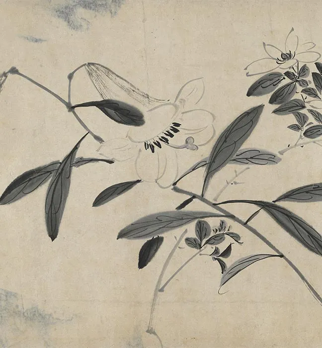 陈淳水墨画花卉卷_15