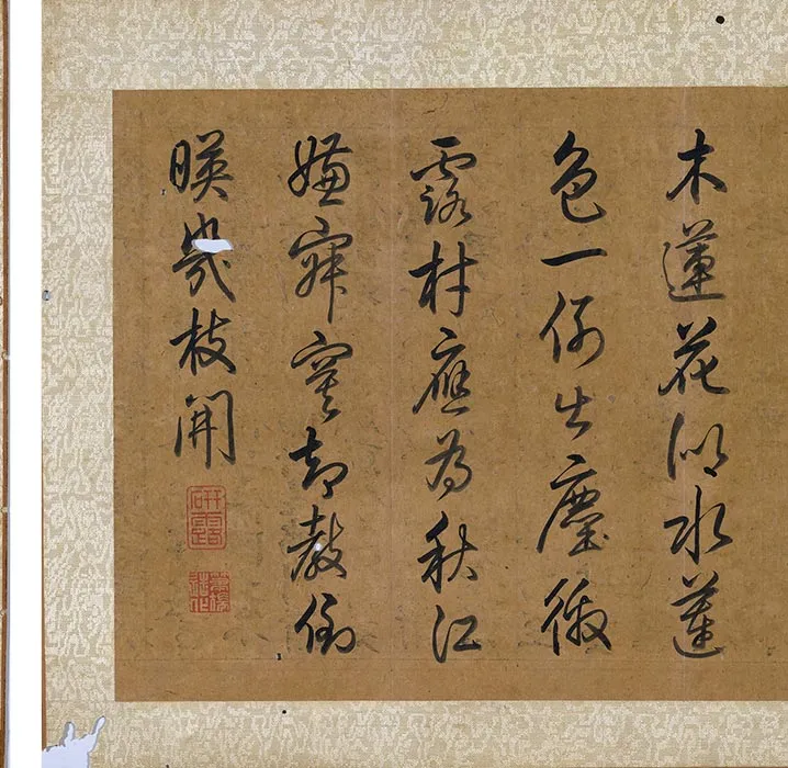 陈淳水墨画花卉册_07