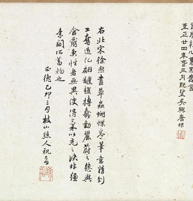 传五代南唐徐熙花卉草虫卷_01