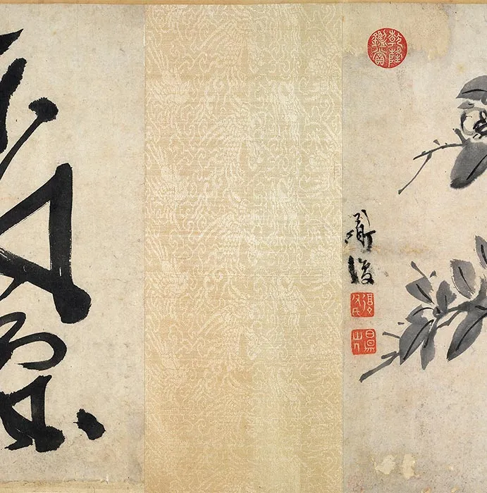 陈淳书画合璧《草书水墨花卉写生图》卷_13